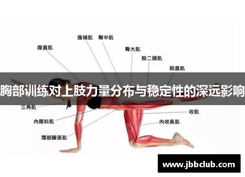 胸部训练对上肢力量分布与稳定性的深远影响